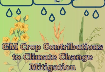 GM Crop Contributions Towards Mitigating Climate Change
