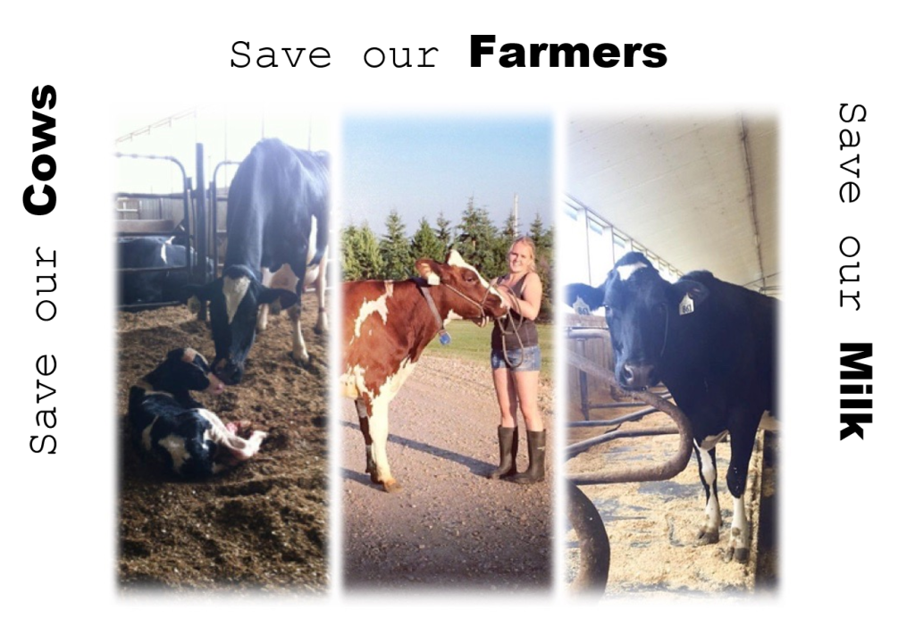 Sheleby Devet says" Save our Cows, Farmers, & Milk" from TPP