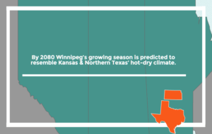 Prairie Climate Change is projected to have summers similar to Texas by 2080