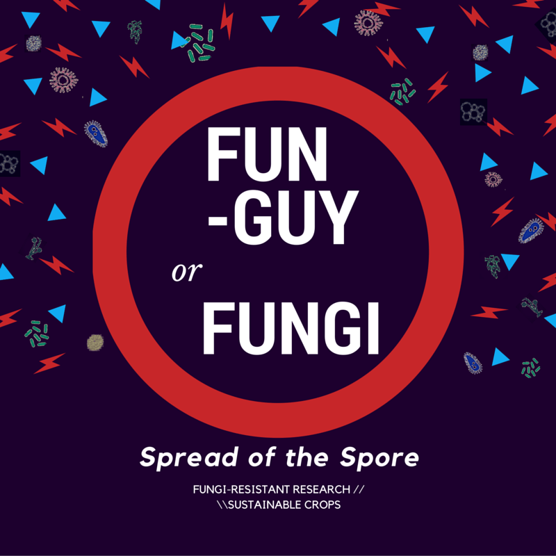 Not Such a Fun Guy, These Fungi