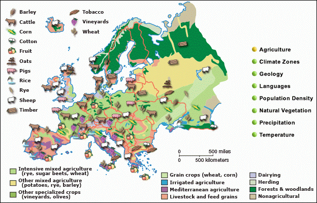 What is the Common Agricultural Policy? 4