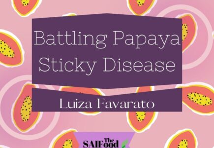 Battling Papaya Sticky Disease: Challenges and Strategies