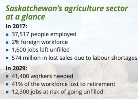 Saskatchewan's agriculture sector at a glance
