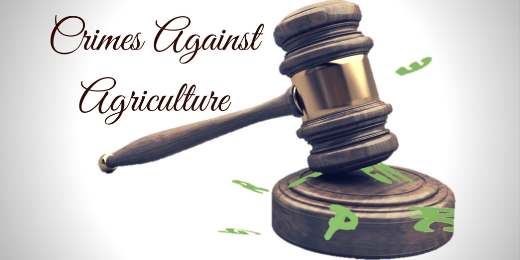 Crimes against agriculture, Greenpeace trial