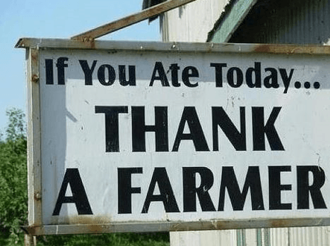 Canadian Agriculture success has led to your food, thank a farmer if you ate today