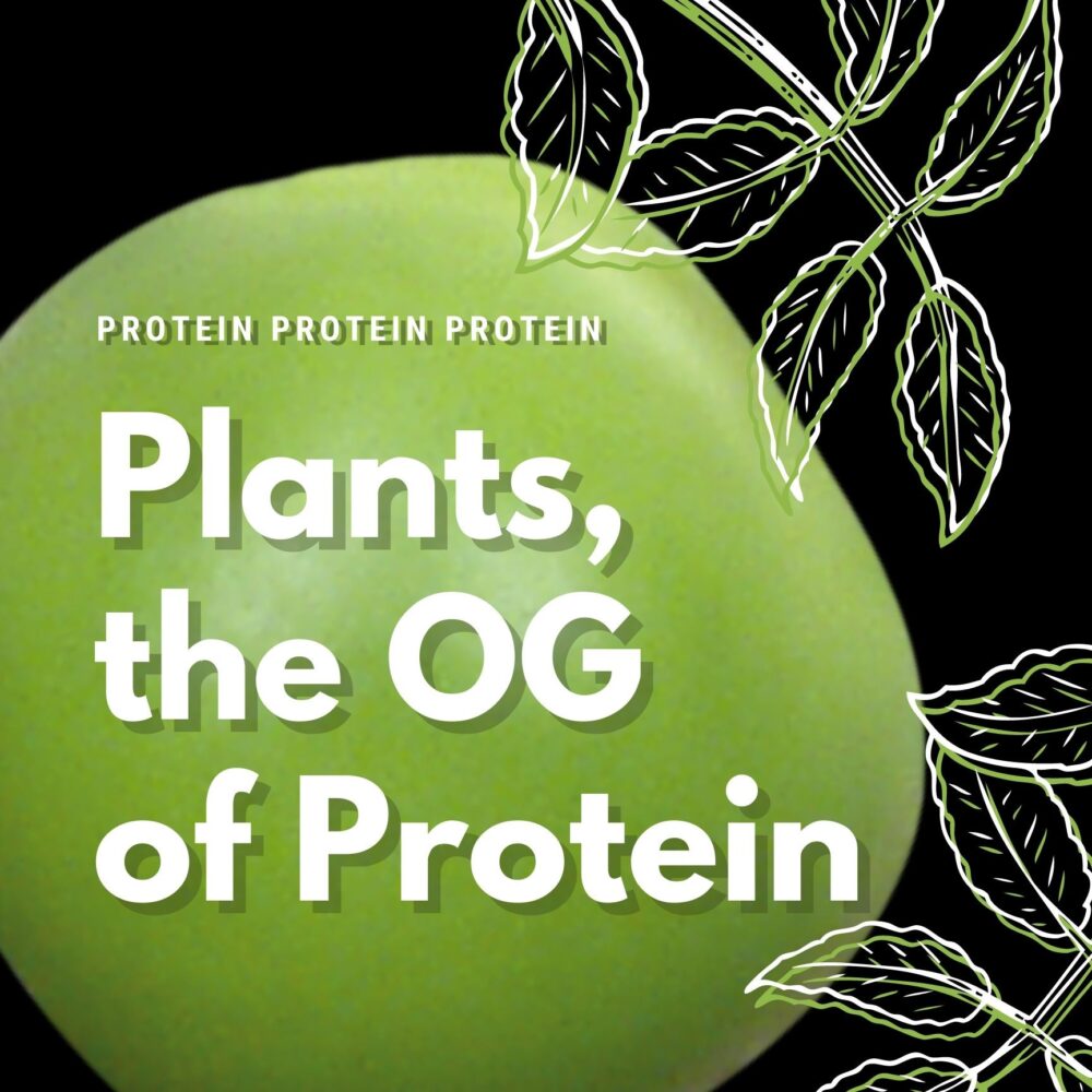 You’re already eating a plant protein diet
