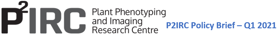 P2IRC Policy Brief Q1 2021 logo