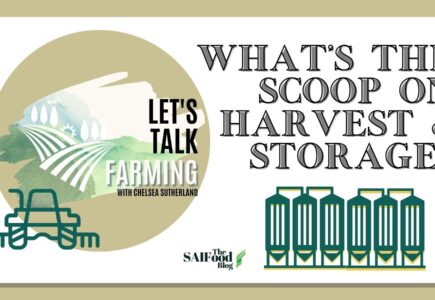 Let’s Talk Farming: What’s the Scoop on Harvesting and Grain Storage?