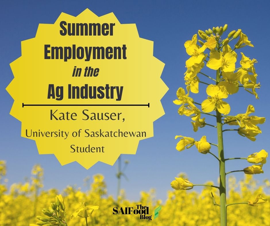 Summer employment in the agriculture industry by Kate Sauser