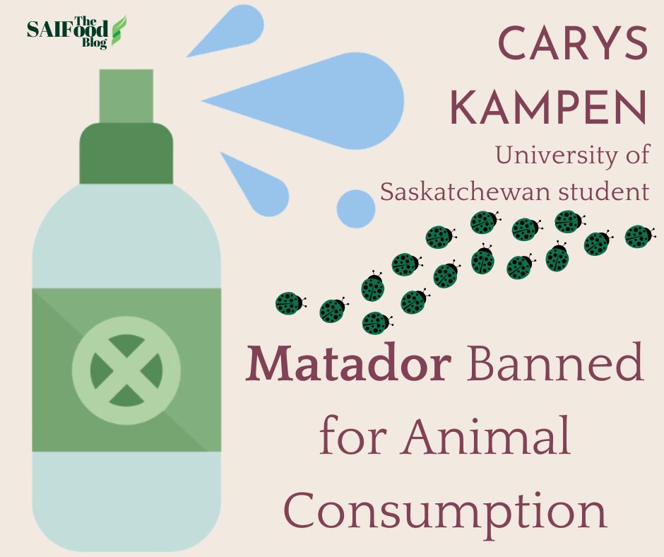 Matador banned for animal consumption by Carys