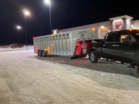 Livestock truck and trailer