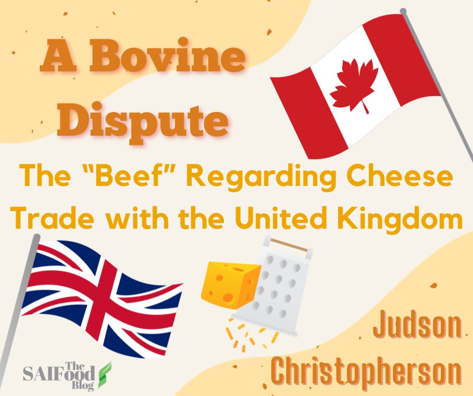UK and Canadian flag on a yellow background; "A bovine dispute: the beef regarding cheese trade with the United Kingdom"