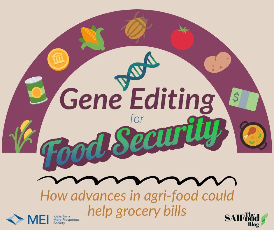 Gene Editing for Food Security: How advances in agri-food could help grocery bills (MEI Repost)
